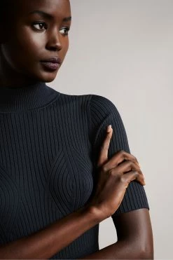 Ted Baker Blue Engineered Skater Dress -tedbaker Shop Online unnamed file 1007