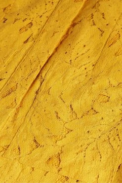 Ted Baker Yellow Mini Lace With Oversized Pockets Shirt Dress -tedbaker Shop Online unnamed file 1353