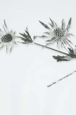 Ted Baker White Wishaw Short Sleeve Graphic T-Shirt -tedbaker Shop Online unnamed file 2382