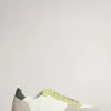 Ted Baker Lime Green Brent Retro Cupsole Leather Sneakers -tedbaker Shop Online unnamed file 3448