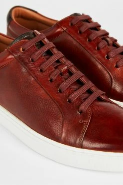 Ted Baker Brown Udamo Leather Trainers -tedbaker Shop Online unnamed file 3554