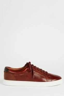 Ted Baker Brown Udamo Leather Trainers -tedbaker Shop Online unnamed file 3556