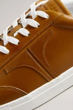 Ted Baker Mens Brown Robert Retro Leather Sneakers -tedbaker Shop Online unnamed file 3669