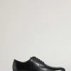 Ted Baker Regie Black Leather Lace Up Derby Shoes -tedbaker Shop Online unnamed file 4930