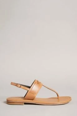 Ted Baker Tan Brown Jazmiah Leather Toe Post Flat Sandals -tedbaker Shop Online unnamed file 5383